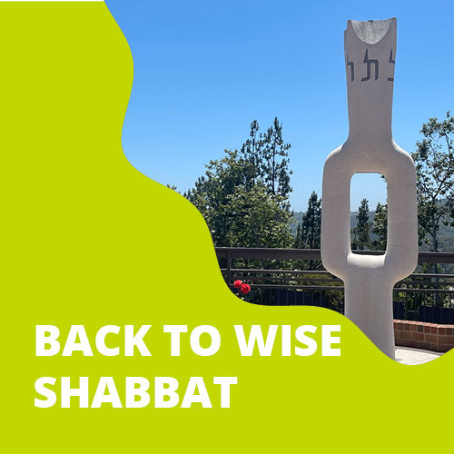 Back to Wise Shabbat