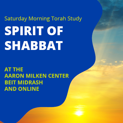 spirit of shabbat